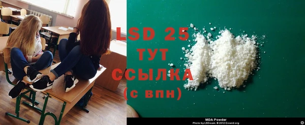 стаф Новокубанск