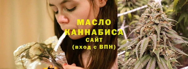 стаф Новокубанск