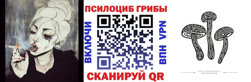 где купить наркоту  мориарти официальный сайт  Псилоцибиновые грибы Magic Shrooms  Суздаль  blacksprut ССЫЛКА 